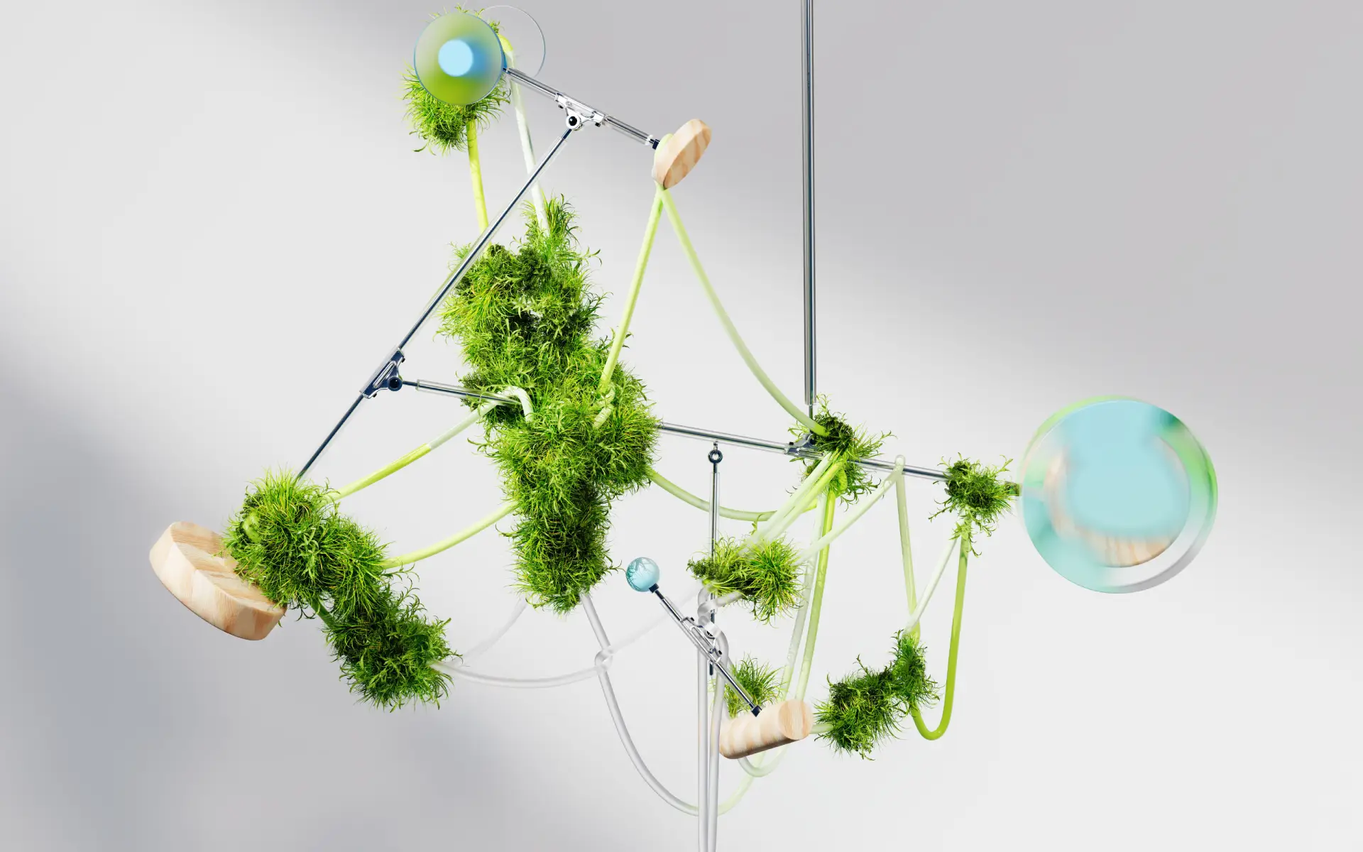 Moss-covered forms and translucent spheres suspended within a fine geometric framework