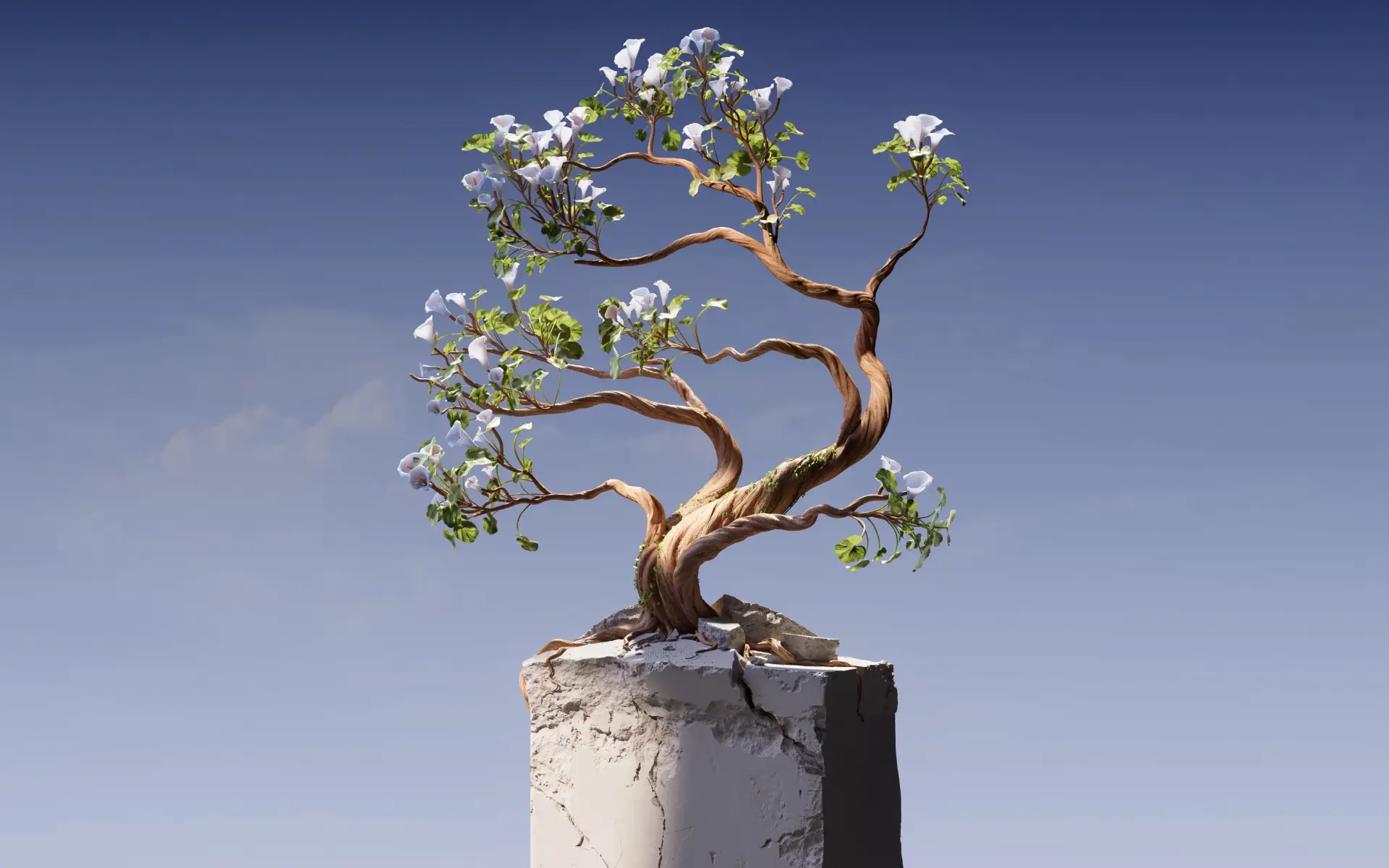 Small tree with a twisting trunk growing from a weathered stone pedestal against a blue background
